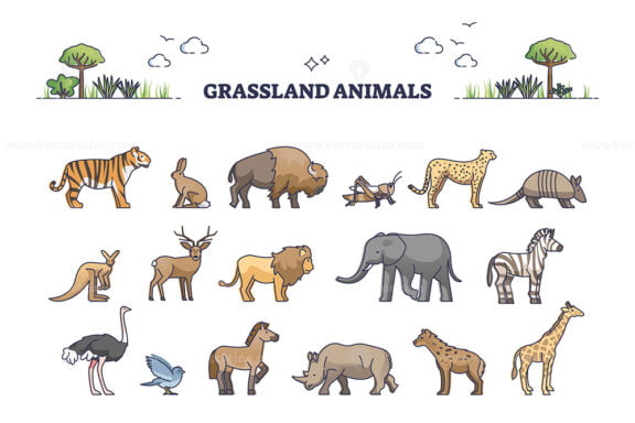 Grassland animals for savanna or safari collection with mammals outline set
