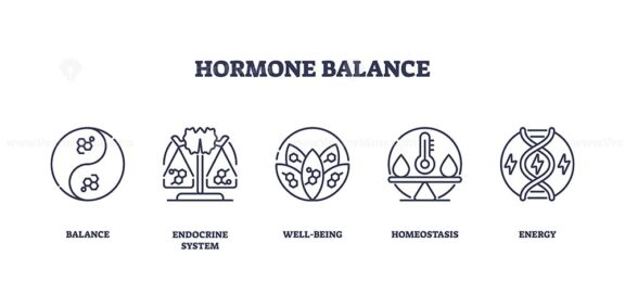 Hormone balance icons outline key concepts like balance, endocrine system, and energy. Outline icons set.