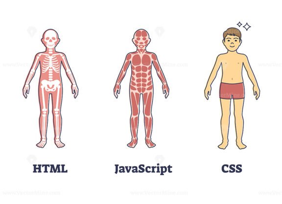 HTML, JavaScript or CSS programming compared to human anatomy outline diagram