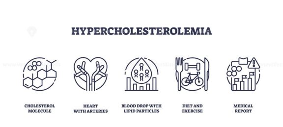 Outline icons set depicting cholesterol molecule, heart with arteries, and blood drop with lipid particles, representing hypercholesterolemia. Outline icons set.