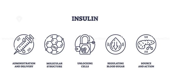 Insulin is depicted with icons of a syringe, molecular structure, and pancreas, illustrating its role in delivery, cellular action, and blood sugar regulation. Outline icons set