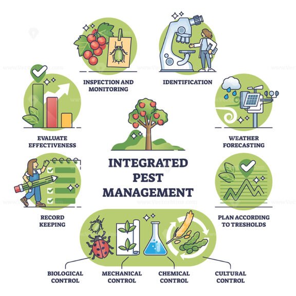 Integrated pest management as sustainable crop protection outline diagram