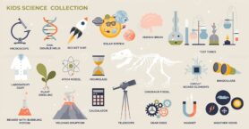 Kids science and fun experimental way to teach nature tiny collection set