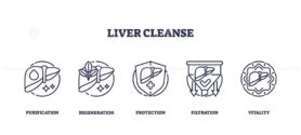 Liver cleanse icons depict purification, regeneration, and protection. Key objects, liver, shield, leaves. Outline icons set.