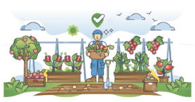 Locally grown food and vegetable farming or harvest process outline concept