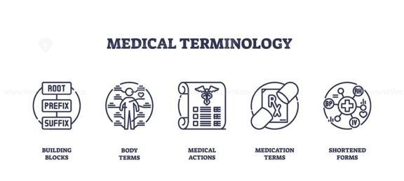 Medical terminology icons outline key concepts like building blocks, body terms, and medication. Outline icons set.