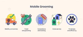 Mobile grooming icons depict service mobility, convenience, and timeliness with a van, scissors, and clock. Neubrutalism style