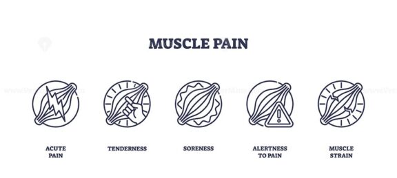 Muscle pain icons depict various pain types using simple outlines, focusing on muscles and pain indicators. Outline icons set.