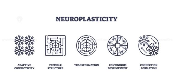 Neuroplasticity is shown with brain, neural networks, and circuit icons, representing adaptive connectivity and transformation. Outline icons set