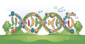 Nutrigenomics as nutrient and micronutrients impact on genome outline concept