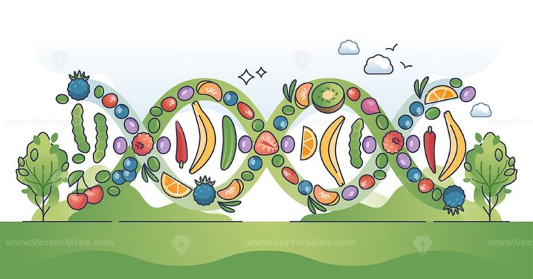 Nutrigenomics as nutrient and micronutrients impact on genome outline concept