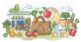 Organic grocery store with ecological food choices outline hands concept