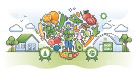 Organic living and ecological healthy food consumption outline concept