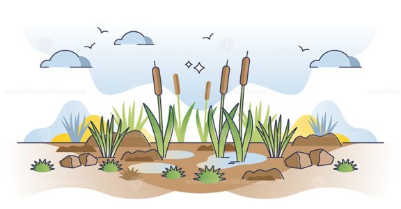 Peatlands or mires as decomposed organic material lands outline concept