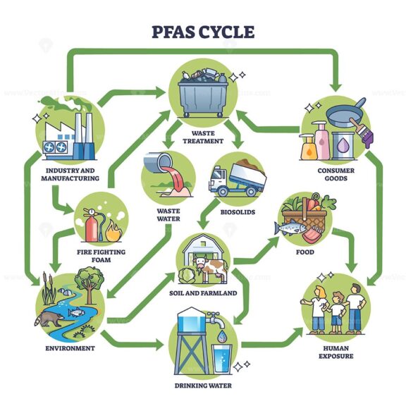 PFAS cycle diagram shows the flow from industry to human exposure, highlighting waste treatment and drinking water. Outline diagram.