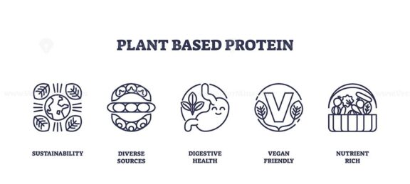 Plant-based protein icons outline concepts like sustainability, diverse sources, and nutrient richness. Outline icons set.