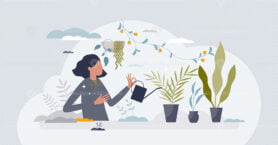 Planting indoors as female hobby with plant growing tiny person concept