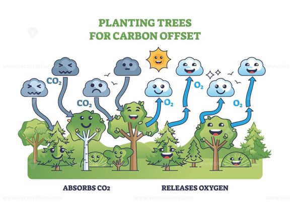 Planting trees for carbon and CO2 offset in kid friendly outline diagram. Labeled fun scheme with forest emissions absorption and oxygen releasing cycle vector illustration. Ecosystem explanation.