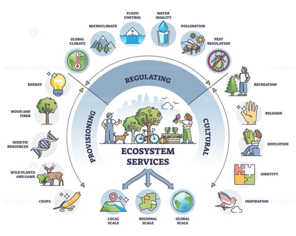 Provisioning, regulating and cultural services division outline diagram