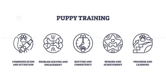 Puppy training focuses on communication, problem-solving, and rewards. Key objects, bone, clock, paw. Outline icons set.