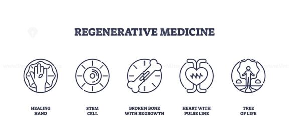 Regenerative medicine icons depict healing hand, stem cell, and heart with pulse line. Outline icons set.