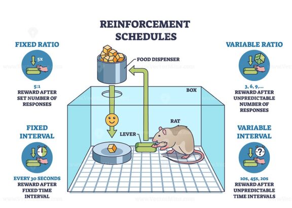 Reinforcement schedules for operant conditioning training outline diagram