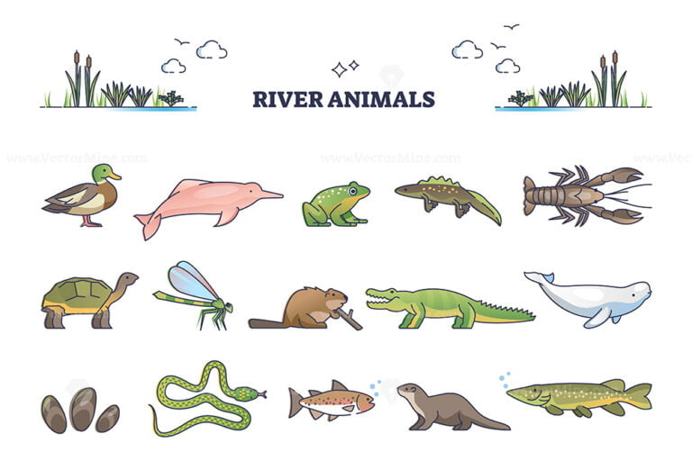 River animals or underwater species in wet environment outline collection set