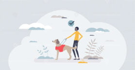 Service dog and animal assistance for disable owners tiny person concept