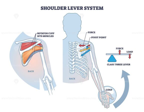 Shoulder lever system for shoulder and upper body movement outline diagram