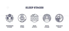 Sleep stages visualized with outline icons showing progression, REM, brain activity, depth, and cycle timing. Outline icons set