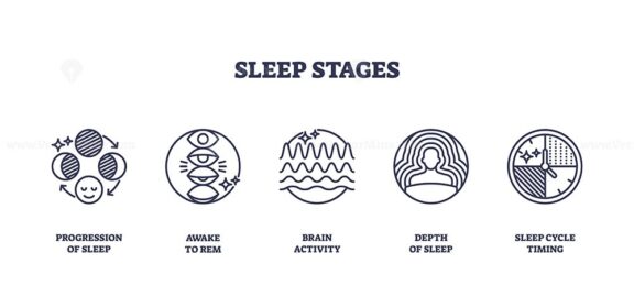 Sleep stages visualized with outline icons showing progression, REM, brain activity, depth, and cycle timing. Outline icons set