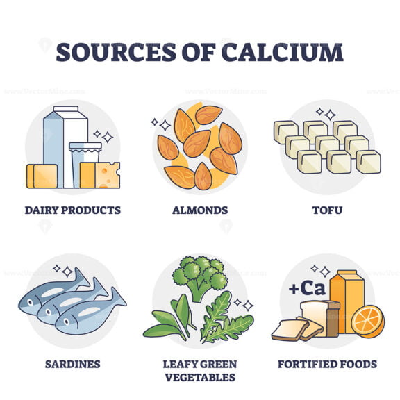 Sources of calcium and natural rich Ca level food products outline diagram