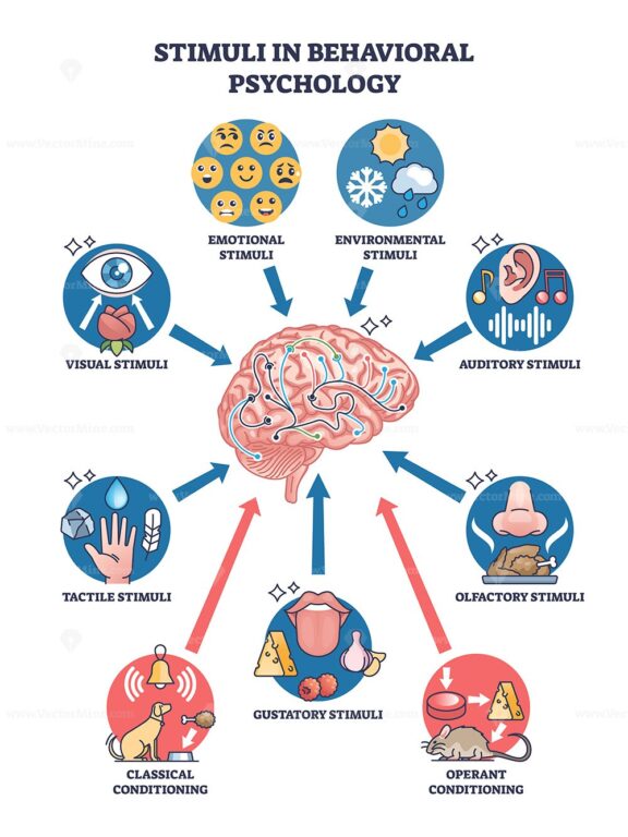 Stimuli in behavioral psychology with brain feeling causes outline diagram