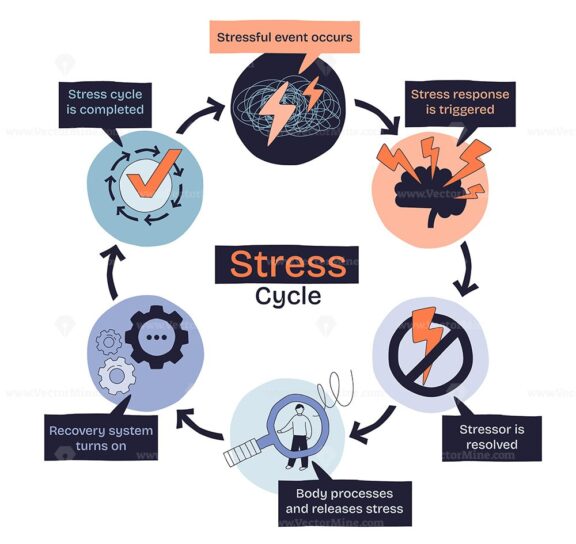 Stress cycle shows how stress starts, triggers a response, is resolved, and recovery begins. Key objects, lightning bolt, check mark, gears. Doodle style diagram