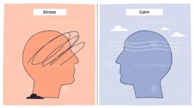 Stress vs calm nervous system shows a chaotic head with scribbles for stress and smooth lines for calm. Key objects, scribbles, smooth lines, head outlines. Doodle style diagram