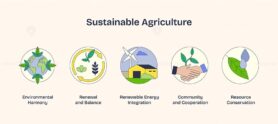 Sustainable agriculture icons show harmony, balance, and cooperation. Key objects, globe, wind turbine, handshake. Neubrutalism style.