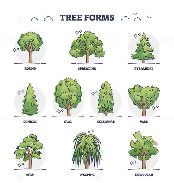 Tree forms or wood vegetation shapes with various examples outline collection