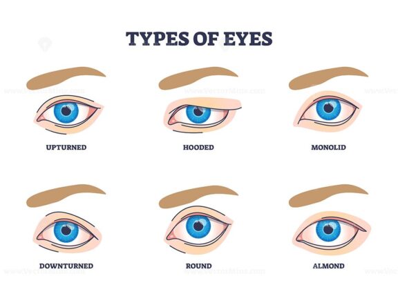 Types of eyes diagram showing six different eye shapes, upturned, hooded, monolid, downturned, round, almond. Outline diagram