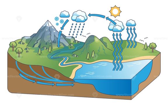 Water cycle diagram with precipitation and condensation outline concept