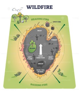 Wildfire structure with detailed burning parts division outline diagram